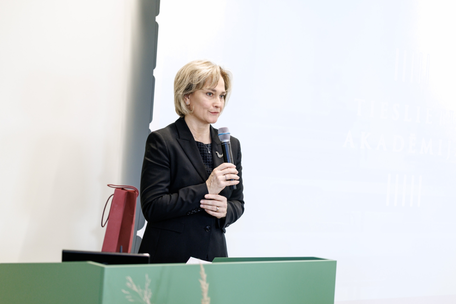 Atklāta Tieslietu akadēmija